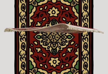 carpets back